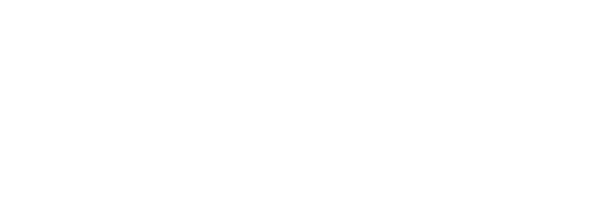 Welltor Property Operations logo — Accessive WCAG accessibility monitoring client